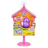 Little Live Pets - Lil' Bird & Bird House: Pretty