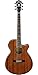 Ibanez AEG12IINT Acoustic-Electric Guitar, Natural Finish