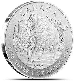 2013 Candian Bison Silver Coin