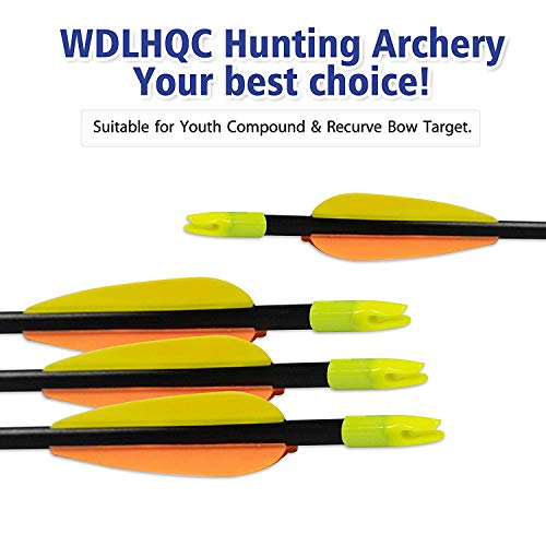 WDLHQC 30inch Fiberglass Arrow for Recurve and Compound Bow Hunting and Practice Hunting