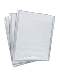FoodSaver GBQ100 000 Quart Bags 100