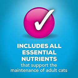 Purina Friskies Gravy Pate Wet Cat Food, Extra