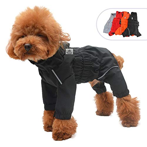 The Best Dog Snowsuits Dogtime