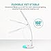 TaoTronics DL032 Dimmable Color LED Desk Lamp with Built-in 1000mAh Rechargeable Battery Flexible Gooseneck, Touch Control, 7W, Official Member of Philips Enabled Licensing Program