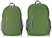 Amazon Basics Lightweight Packable Hiking Travel Day Pack Backpack - 17.5 x 17.5 x 11.5 Inches, 25 Liter, Green