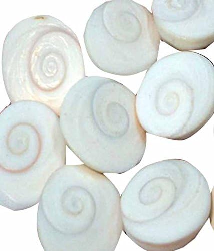 SHOPOJ Very Rare Natural Gomati Chakra - 7 Pcs Standard White