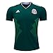 Mexico National Team 2018 World Cup Jersey Replica (M)