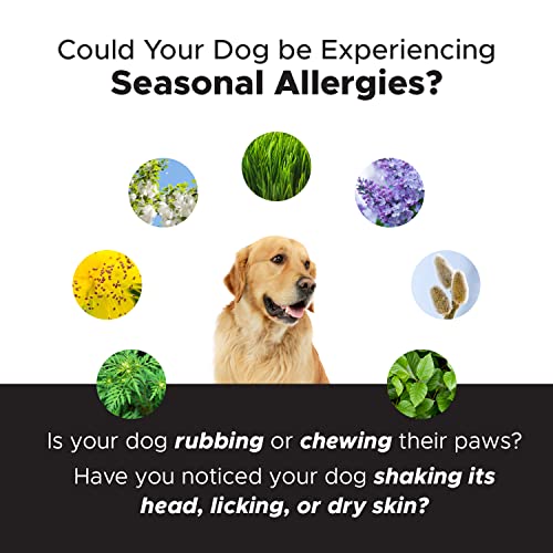 Pet Honesty Dog Allergy Relief Immunity Chews Omega3 Salmon Fish Oil