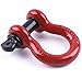 XYZCTEM Towing D-Ring Shackles 3/4