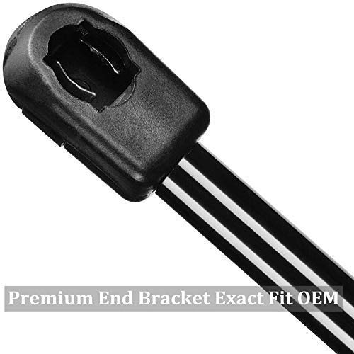 Vepagoo 2 Front Hood Gas Lift Supports Struts 4364 Compatible for Dodge