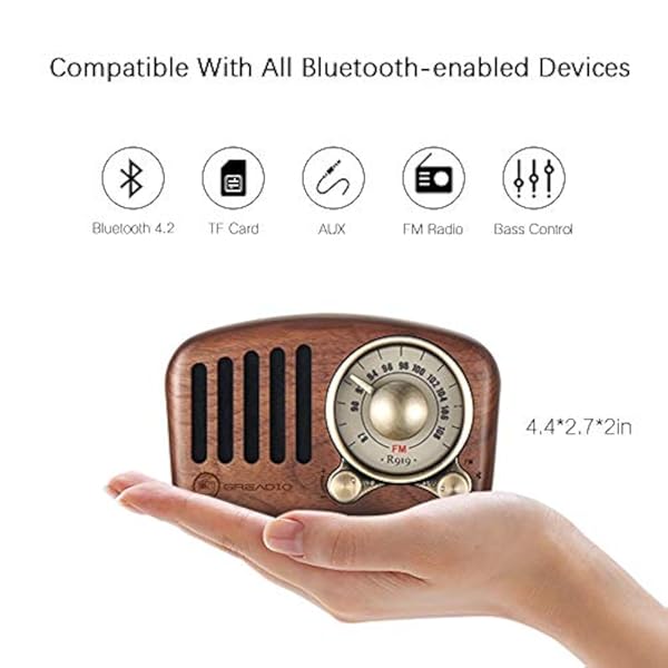 Radio Classic R199 Parlante Bluetooth FM, Wifi, SD MP3 - Imagen 3