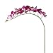 Ximkee 1 x Artificial Butterfly Orchid Flower Plant Home Decor Fuchsia (1pcs, Fuschia)
