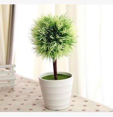 Amazon ノーブランド品 観葉植物風 フラワーポット入り ツンツン 丸い インテリアフラワー ライトグリーン 観葉植物 オンライン通販