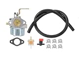 Carburetor Fuel Hose Filter Shut Off Valve Carb For Coleman Powermate 4000 Watts Maxa 5000 ER Plus Generator Powerbase Sears Companion 5250 5500 with Tecumseh Engine Motor