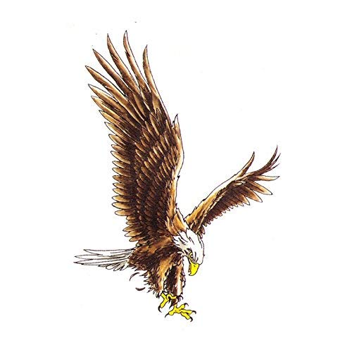 Amazoncom Eagle Temporary Tattoo Fake Removable Tattoos