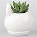 NCYP Indoor White Ceramic Flower Pot Garden Tabletop Kawaii Small Miniature Rabbit Bunny Planter Pot for Succulent Cactis with Tray 3.93 inches Sculpture (No Plants)