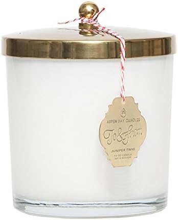 Aspen bay Juniper Twig Holiday Jar