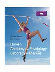 Human Anatomy Amp Physiology Laboratory Manual Fetal Pig