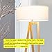 Brightech Z Modern Mid Century Home Standing LED Light Tripod Floor Lamp, Wood