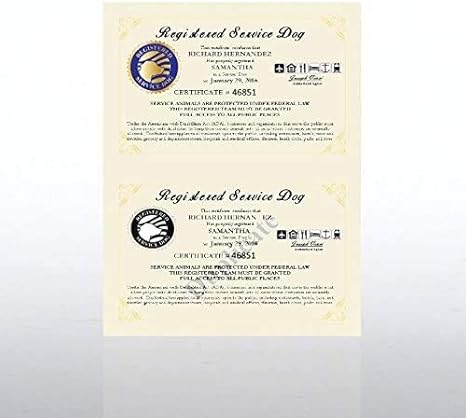 service dog paperwork