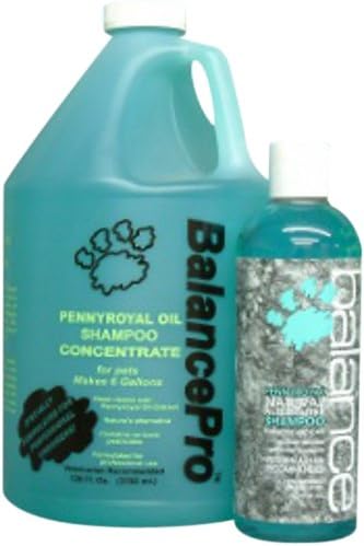 Kenic Pennyroyal Pet Shampoo, 16-Ounce
