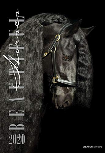 Beautiful Horses 2020 by 