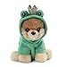 GUND World’s Cutest Dog Boo Itty Bitty Boo #048 Frog Prince Stuffed Animal Plush, 5