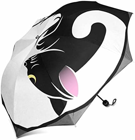 dingshanlong Unique Custom Auto Open Foldable Umbrella Windproof Polyester Travel Umbrella