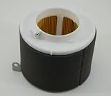 Kawaaki OEM Replacement Air Filter Mule 500 520 550 610 600 2500 11029-1004