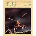 The Ants