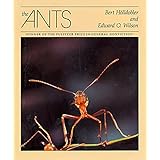 The Ants
