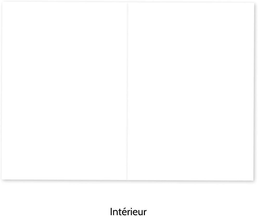 Lot De 8 Cartes De Condoleances Pour Deces Avec 8 Enveloppes De Couleur Incluses Design Sobre Et Elegant Format 14x14 Plie Interieur Vierge Pour Ecrire Popcarte Petit Prin