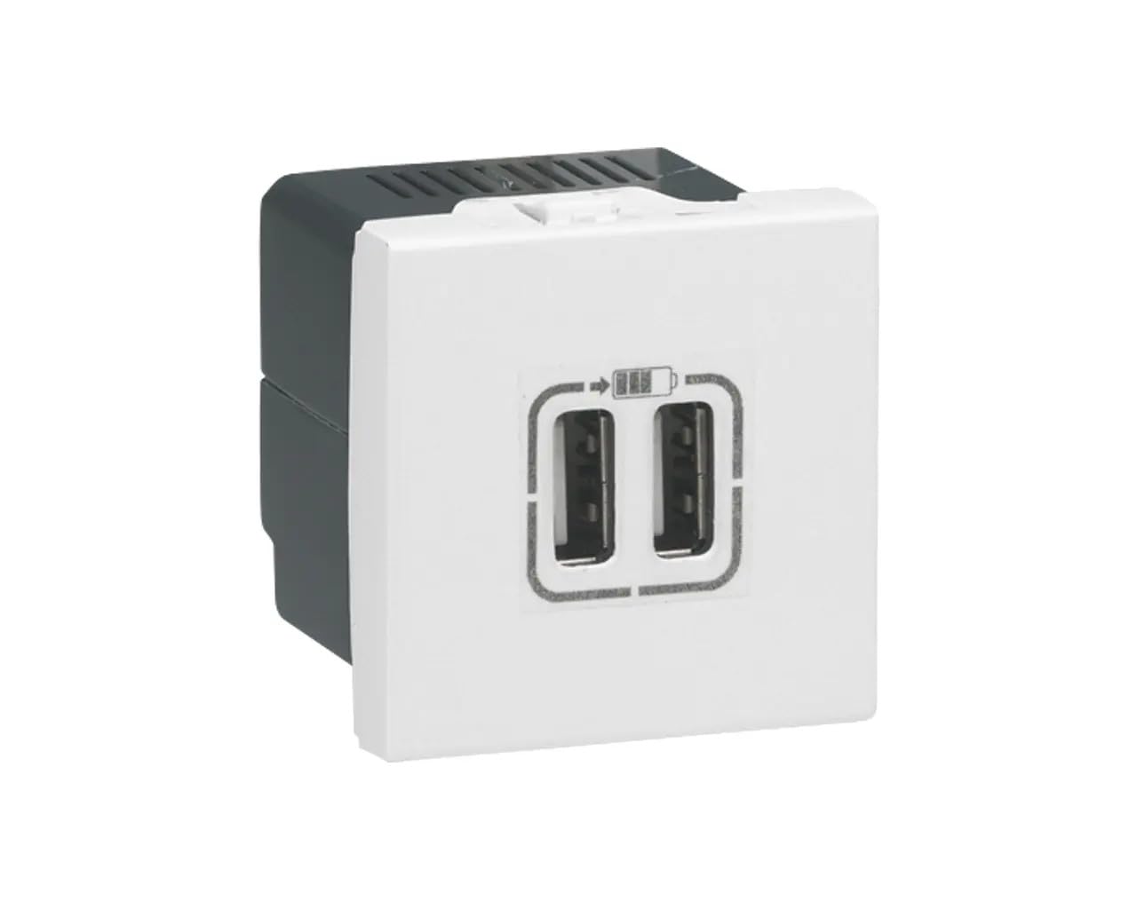 Legrand Mosaic - 2 x USB Mosaic 2 Module White