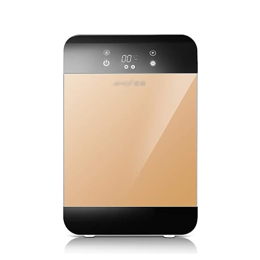 Mini Nevera For El Hogar 20L, Refrigerador For Automóvil De 12 ...