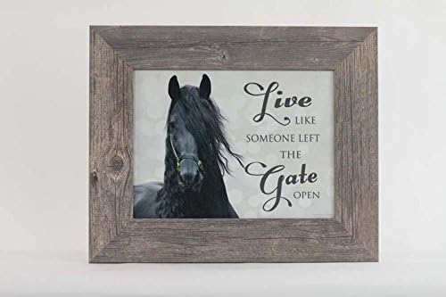 Live Like Someone Left The Gate Open Friesian Black Horse Framed Art (Driftwood Grey Frame)