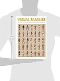 Image de Visual Families: Graphic Storytelling in Design and Illustration