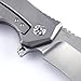 KIZER Cutlery Folding Pocket Knives Clip Point Blade Flipper Knife Frame Lock Titanium Handles Flipper Knife, Uprising Ki4491A1