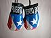 Puerto Rico Bandera Color Mini boxing Gloves Car Hanging Ornament or gifts