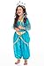 Little Adventures Oasis Princess Dress Up Costume Age 1-3 (Small) - Machine Washable Child Pretend Play and Party Dress with No Glitter