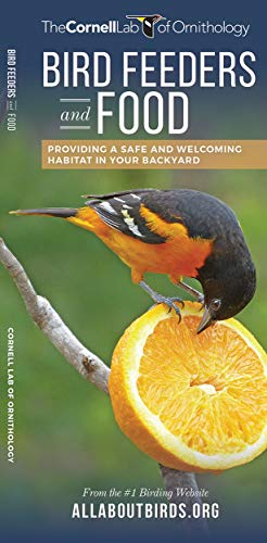 image for Bird Feeders and Food: Providing a Safe and Welcoming Habitat in Your 