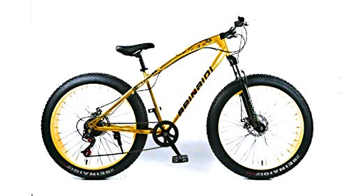 axan fat bike