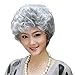 Short Silver Grey Fluffy Slight Curl Wavy Wig Middle Age Women Wig Mother Wig Office Lady OL Wig Gift For Mother