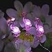 WSgift Pink Flamingo String Lights, 18.7 Ft 40 LED USB Plug-in Copper Wire Flamingo Fairy LED Lights for Various Decoration Projects (Warm White, Remote Control with Timer)