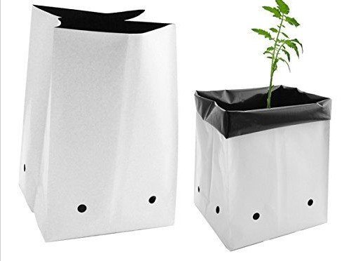 Viagrow 1 gallon Grow Bag, 1000 pack