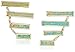 Kendra Scott Caroline Drop Earrings