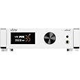 SABAJ A20d 2023 Version Decoding and Ear Amplifier all-in-one Machine,AK4499X+AK4191EQ Chip,3*OPA1612,Supporting MQA and MQA-CD Full Decoding,Bluetooth 5.0,LDAC,Apt-X HD,Native DSD512 and 32bit/768kHz