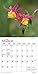 Wildflowers 2020 7 x 7 Inch Monthly Mini Wall Calendar, Flower Outdoor Plant