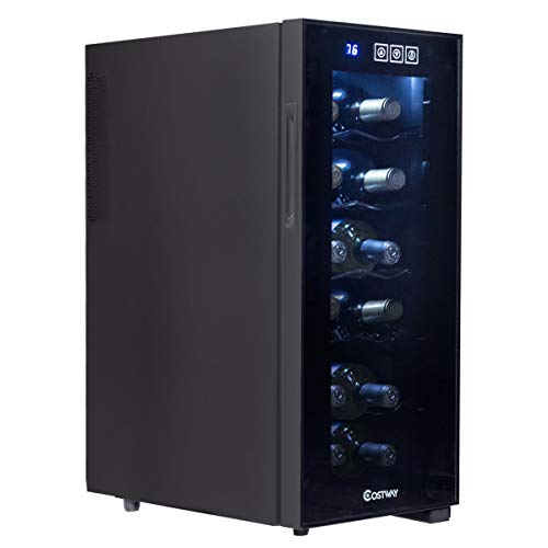 12 Bottle Standing Thermoelectric Wine Cooler New Perfect Beautiful Classic Elegant Useful CHOOSEandBUY