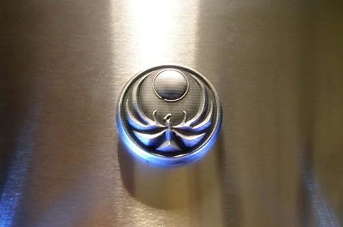Inspired by Skyrim video game Nightingale logo fridge magnet.(SM, SS)