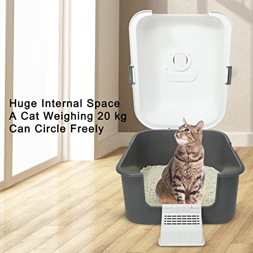 Cat Litter Box with Lid,Top Entry Kitty Sifting Litter Box Kitten Toilet for 8lb Cats,Enclosure